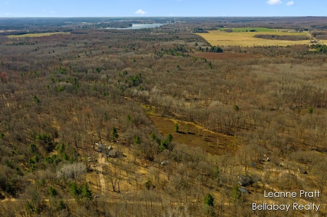 VL W Weidman Rd, Weidman, MI 48893