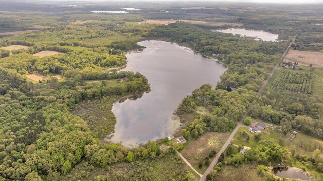 186 Goldsmith Dr, Clarklake, MI 49234 - aerial view of property's location featuring a large body of water and a heavily wooded area