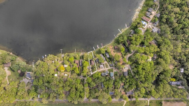 186 Goldsmith Dr, Clarklake, MI 49234 - aerial overview of property's location