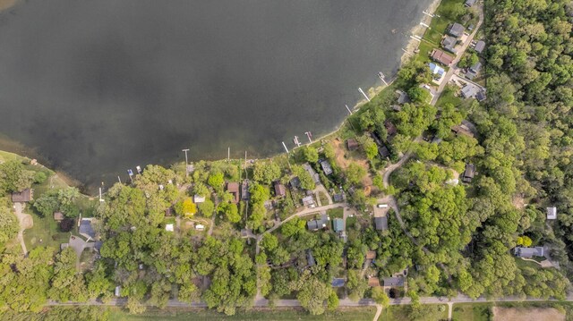 186 Goldsmith Dr, Clarklake, MI 49234 - view of property location