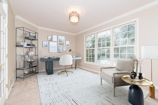 7294 Mackenzie Ln, Portage, MI 49024 - carpeted office featuring ornamental molding and baseboards