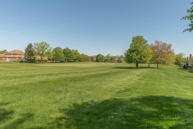 4980 Doral Dr, Ann Arbor, MI 48108 - view of grassy yard