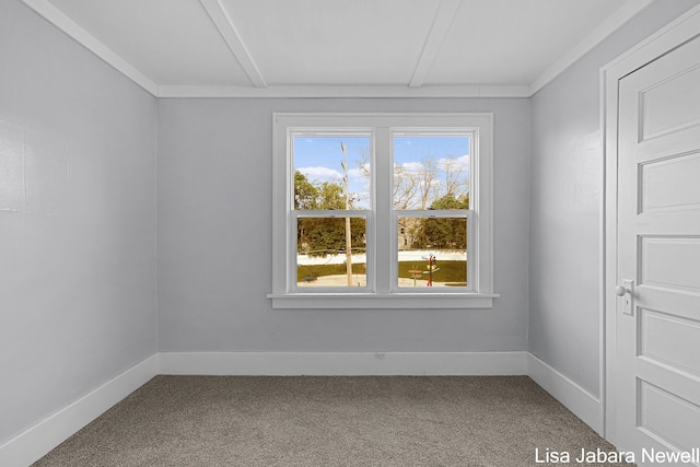 205 N Franklin St, Greenville, MI 48838 - carpeted empty room with baseboards