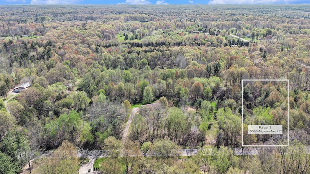 V/LPAR1 Algoma Ave, Cedar Springs, MI 49319