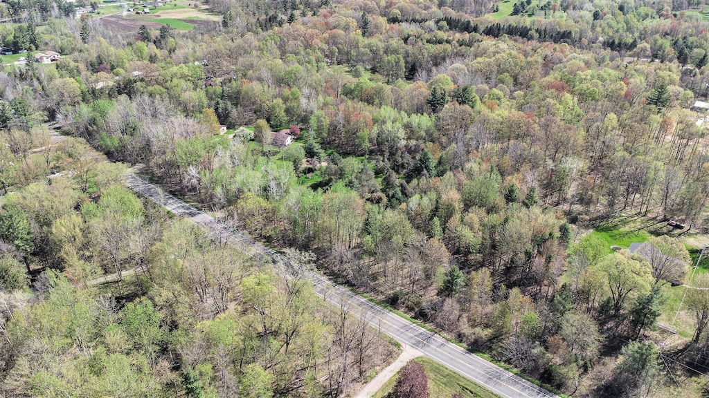 V/LPAR1 Algoma Ave, Cedar Springs, MI 49319