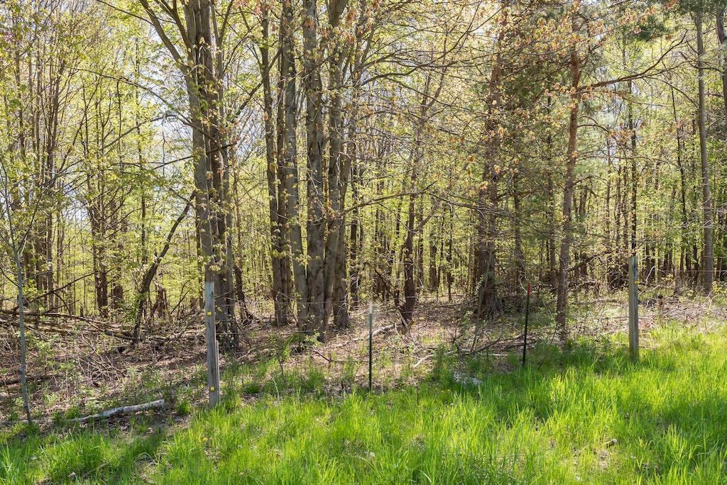 V/LPAR1 Algoma Ave, Cedar Springs, MI 49319
