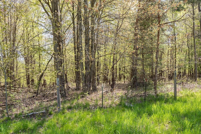 V/LPAR1 Algoma Ave, Cedar Springs, MI 49319