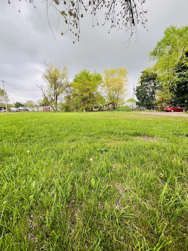 133 Oden St, Benton Harbor, MI 49022 - photo 5