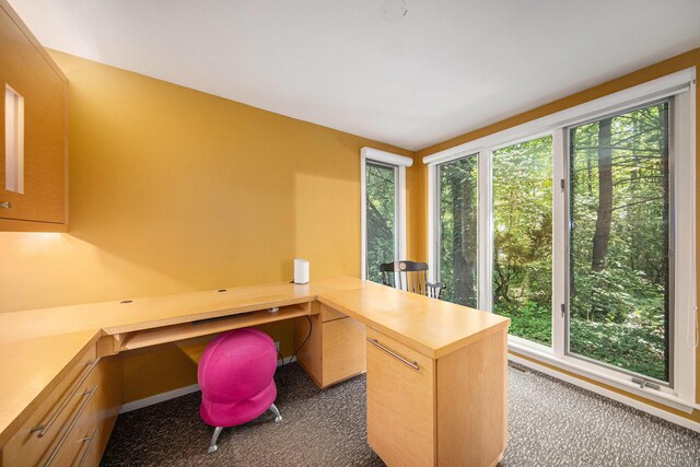 1410 N Folkstone Ct, Ann Arbor, MI 48105 - office with carpet floors and baseboards
