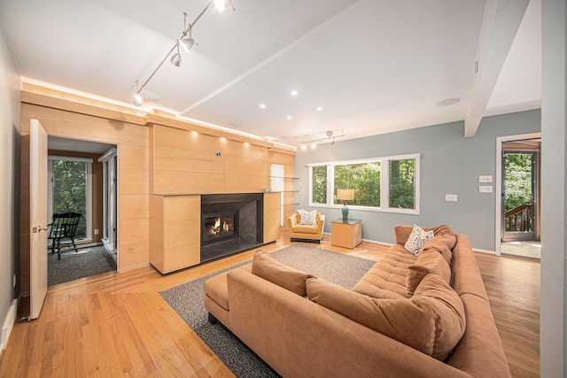 1410 N Folkstone Ct, Ann Arbor, MI 48105 - living room featuring rail lighting, a high end fireplace, light wood-style floors, and healthy amount of natural light