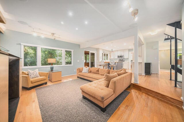 1410 N Folkstone Ct, Ann Arbor, MI 48105 - living room with light wood-type flooring, track lighting, baseboards, and recessed lighting