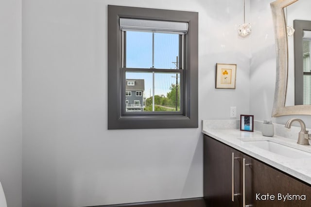 657 Greenslate Dr SE, Ada, MI 49301 - bathroom featuring vanity and plenty of natural light