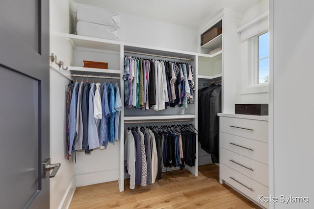 657 Greenslate Dr SE, Ada, MI 49301 - spacious closet with light wood-type flooring