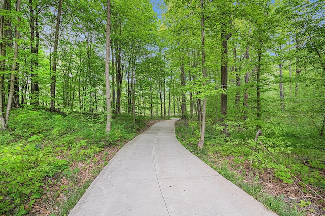 52755 M-43, Bangor, MI 49013 - photo 2