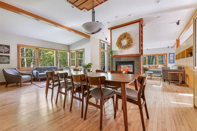 6800 Harbert Rd, Harbert, MI 49115 - dining space with a multi sided fireplace, light wood-style floors, plenty of natural light, and lofted ceiling
