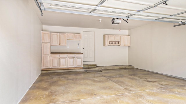 4607 Spring Mountain Dr, Brighton, MI 48116 - garage featuring a garage door opener
