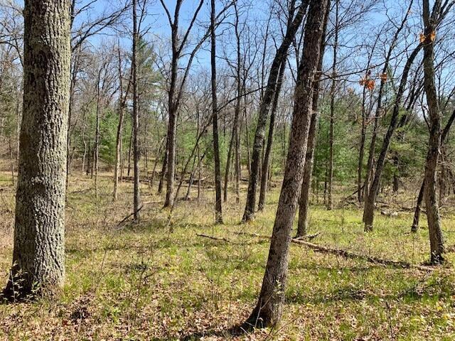 4827 W Unora Park Dr, Baldwin, MI 49304 - view of local wilderness
