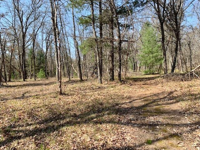 4827 W Unora Park Dr, Baldwin, MI 49304 - view of nature