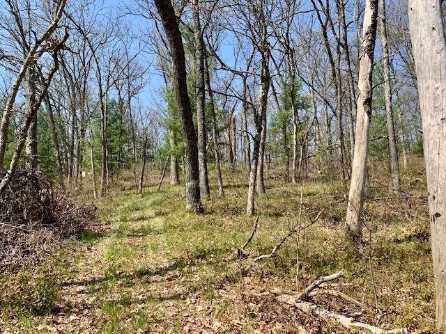 4827 W Unora Park Dr, Baldwin, MI 49304 - view of undeveloped land
