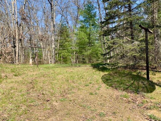 4827 W Unora Park Dr, Baldwin, MI 49304 - view of yard
