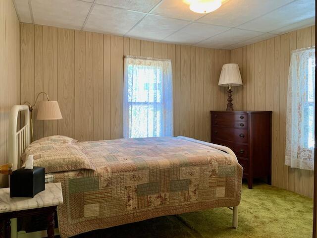 4827 W Unora Park Dr, Baldwin, MI 49304 - carpeted bedroom with wood walls