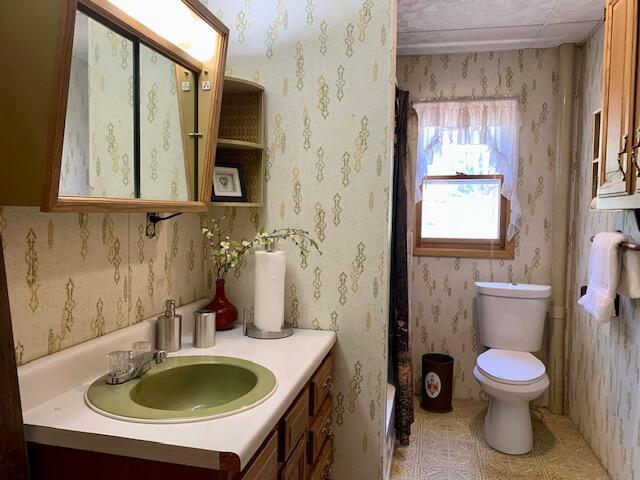 4827 W Unora Park Dr, Baldwin, MI 49304 - full bath featuring toilet, vanity, and tile patterned flooring