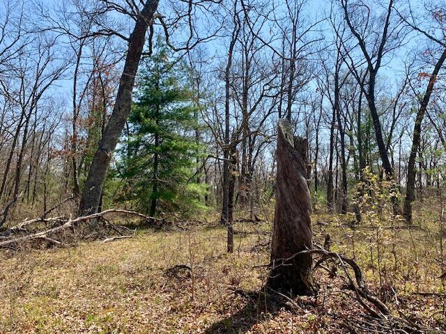 4827 W Unora Park Dr, Baldwin, MI 49304 - view of tree filled area