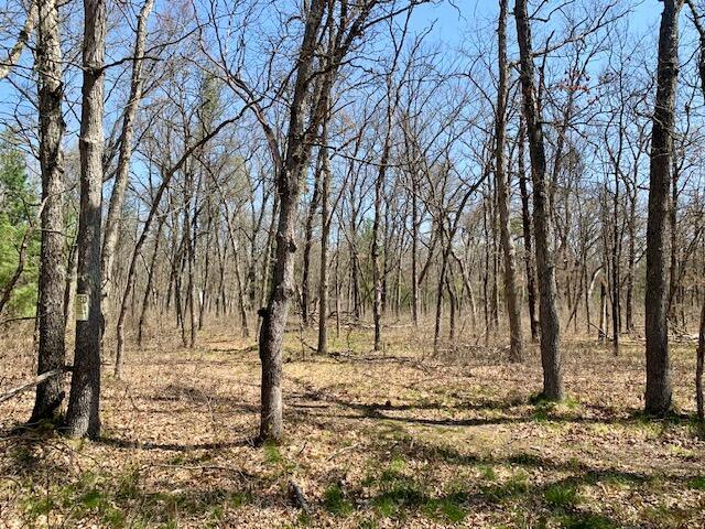 4827 W Unora Park Dr, Baldwin, MI 49304 - view of nature