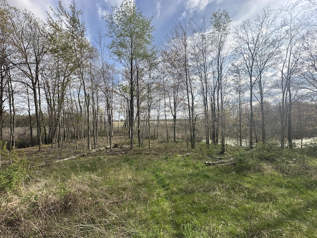 Maple Dale Rd, Horton, MI 49246