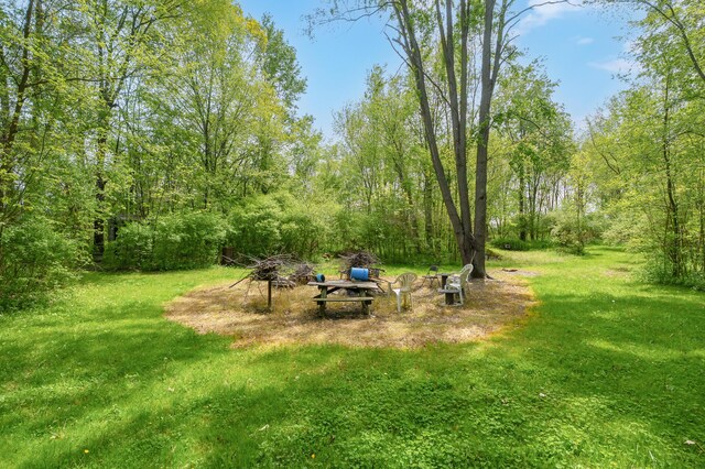 7989 Butler Rd, Nashville, MI 49073 - photo 21