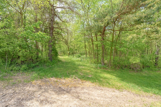 7989 Butler Rd, Nashville, MI 49073 - photo 22