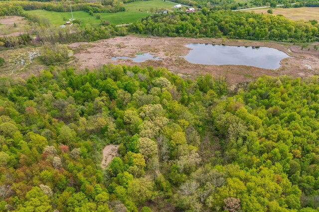 7989 Butler Rd, Nashville, MI 49073 - photo 36