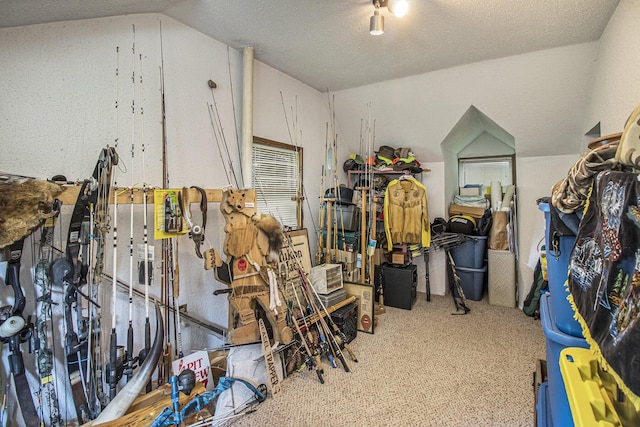 7989 Butler Rd, Nashville, MI 49073 - photo 14