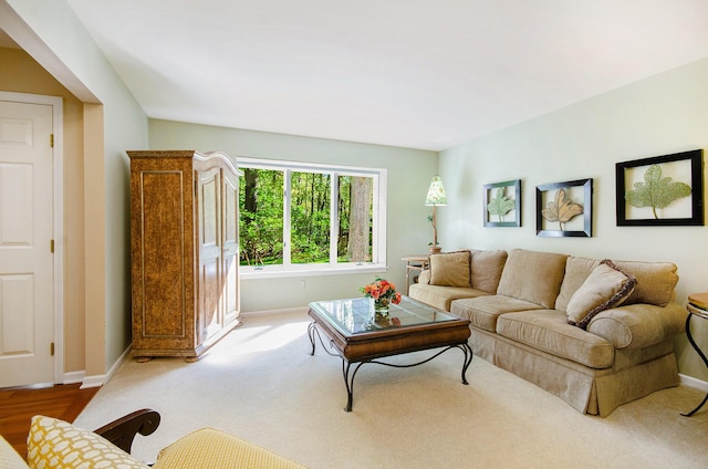 8461 Webster Hills Rd, Dexter, MI 48130 - living room featuring baseboards and carpet