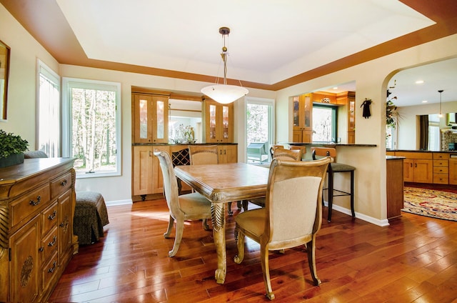 8461 Webster Hills Rd, Dexter, MI 48130 - dining space with a raised ceiling, dark wood finished floors, baseboards, and recessed lighting