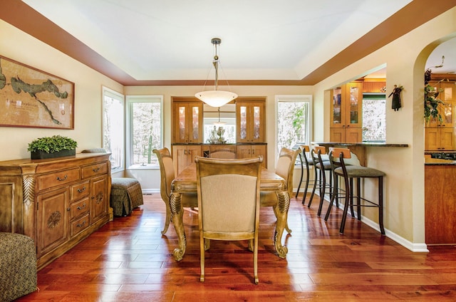 8461 Webster Hills Rd, Dexter, MI 48130 - dining room with arched walkways, wood-type flooring, baseboards, and a tray ceiling