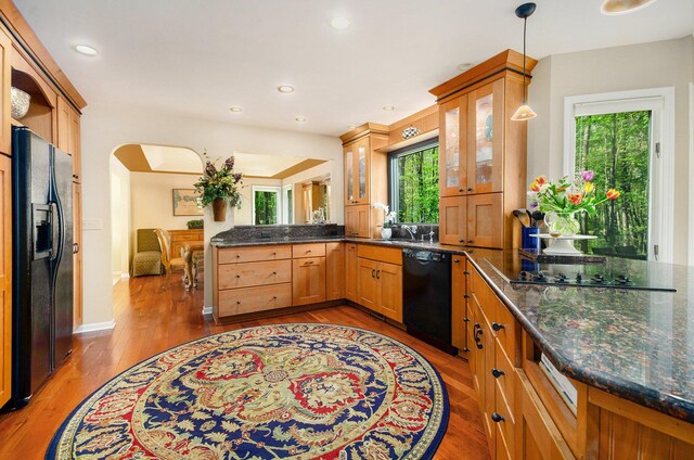 8461 Webster Hills Rd, Dexter, MI 48130 - kitchen with black appliances, a peninsula, wood finished floors, healthy amount of natural light, and recessed lighting