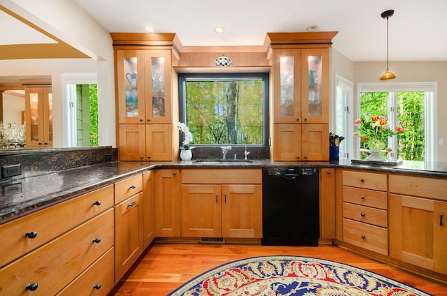 8461 Webster Hills Rd, Dexter, MI 48130 - kitchen featuring black dishwasher, a sink, light wood-style flooring, pendant lighting, and dark stone counters