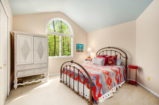 8461 Webster Hills Rd, Dexter, MI 48130 - carpeted bedroom featuring vaulted ceiling and baseboards