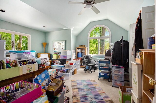8461 Webster Hills Rd, Dexter, MI 48130 - carpeted office with ceiling fan and lofted ceiling
