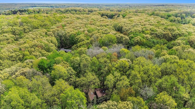 8461 Webster Hills Rd, Dexter, MI 48130 - view of subject property featuring a heavily wooded area