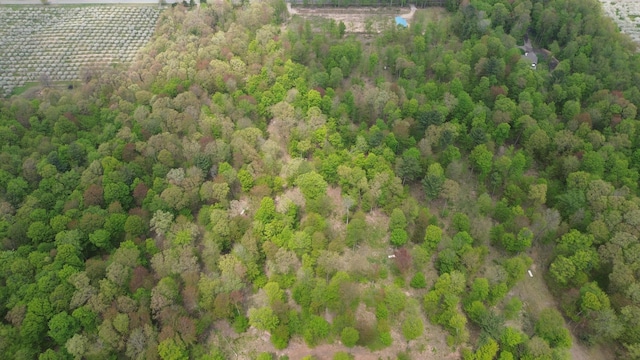 V/L40A W Pierce Rd, Shelby, MI 49455