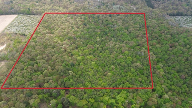 V/L40A W Pierce Rd, Shelby, MI 49455