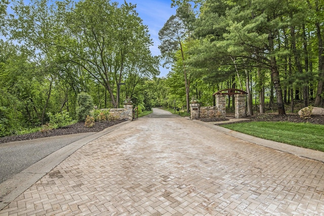 4850 Catamount Trl NE, Ada, MI 49301 - view of road