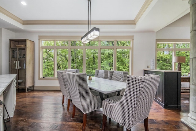 4850 Catamount Trl NE, Ada, MI 49301 - dining room with a tray ceiling, healthy amount of natural light, ornamental molding, dark wood-style flooring, and recessed lighting