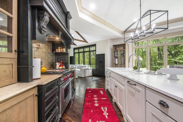4850 Catamount Trl NE, Ada, MI 49301 - kitchen with high end stainless steel range, a sink, healthy amount of natural light, tasteful backsplash, and crown molding