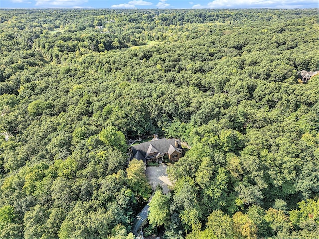 4850 Catamount Trl NE, Ada, MI 49301 - aerial view of property's location with a heavily wooded area