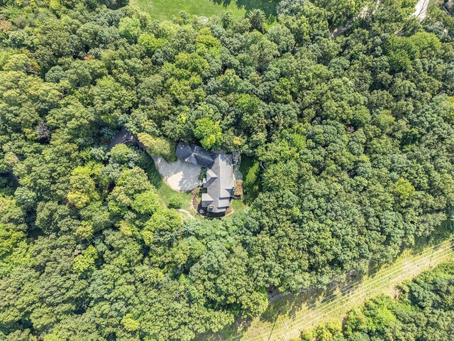 4850 Catamount Trl NE, Ada, MI 49301 - aerial view of property's location featuring a heavily wooded area