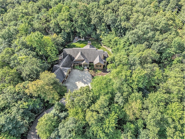 4850 Catamount Trl NE, Ada, MI 49301 - view of subject property with a heavily wooded area