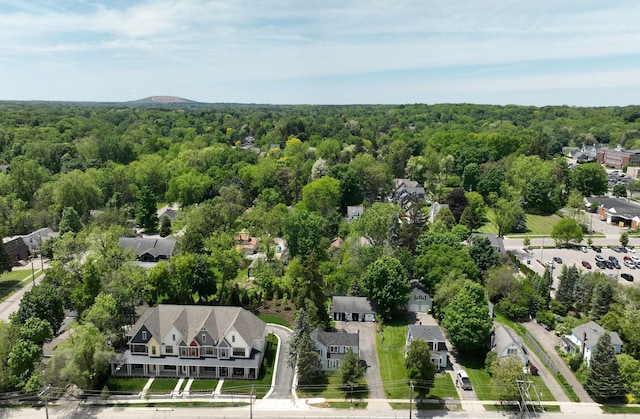 248 S Center St, Northville, MI 48167 - photo 1